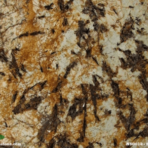 Đá Tự Nhiên Granite NSG012 - Splendor Gold