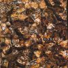 da-xuyen-sang-onyx-nson065-wood-fossil-1916